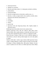 Prakses atskaite 'Studiju prakses atskaite IT uzņēmumā.', 18.