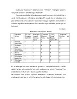 Prakses atskaite 'Studiju prakses atskaite IT uzņēmumā.', 20.