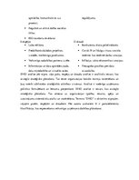 Prakses atskaite 'Studiju prakses atskaite IT uzņēmumā.', 24.