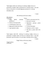 Prakses atskaite 'Studiju prakses atskaite IT uzņēmumā.', 28.