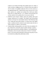 Prakses atskaite 'Studiju prakses atskaite IT uzņēmumā.', 33.