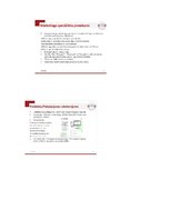 Prakses atskaite 'Studiju prakses atskaite IT uzņēmumā.', 46.