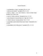 Referāts 'Nacionālboļševiki', 9.