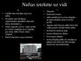 Prezentācija 'Nafta', 8.
