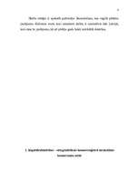 Referāts 'Sabiedrības ar ierobežotu atbildību (SIA) dibināšana', 4.