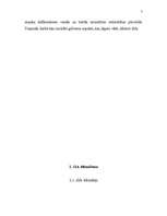 Referāts 'Sabiedrības ar ierobežotu atbildību (SIA) dibināšana', 7.