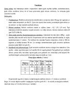 Konspekts 'Būvģipsis', 3.