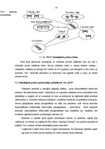 Diplomdarbs 'SIA "BCT" konteineru termināla darbības optimizācija', 44.