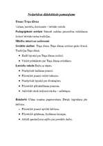 Referāts 'Modelēšana sākumskolas mācību metodikās', 2.