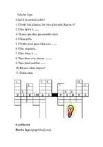 Referāts 'Modelēšana sākumskolas mācību metodikās', 8.