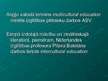 Prezentācija 'Starpkultūru un iekļaujošā izglītība', 2.