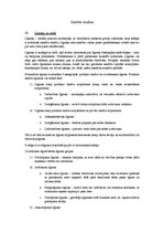 Konspekts 'Eksāmena jautājumi tiesībās', 17.