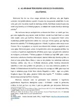 Referāts 'Islāma radikāļu grupējuma Al-Shabab terorisms Somālijā no 2009.gada līdz 2018.ga', 13.