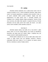 Referāts 'Aristoteļa darbs "Nikomaha ētika"', 14.