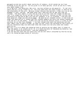 Eseja 'A Comparison of Two Representations of the Bosnian Conflict', 2.