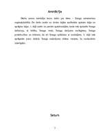 Referāts 'Līzinga izmantošana uzņēmējdarbībā', 2.