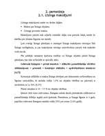 Referāts 'Līzinga izmantošana uzņēmējdarbībā', 25.