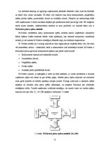 Diplomdarbs 'Privāto uzņēmumu novērtēšana apvienošanas un pārņemšanas procesos', 13.