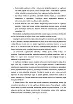 Diplomdarbs 'Privāto uzņēmumu novērtēšana apvienošanas un pārņemšanas procesos', 17.