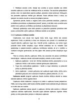 Diplomdarbs 'Privāto uzņēmumu novērtēšana apvienošanas un pārņemšanas procesos', 18.