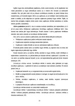 Diplomdarbs 'Privāto uzņēmumu novērtēšana apvienošanas un pārņemšanas procesos', 23.