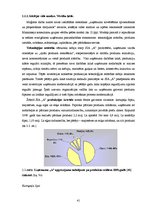 Diplomdarbs 'Privāto uzņēmumu novērtēšana apvienošanas un pārņemšanas procesos', 41.
