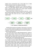 Diplomdarbs 'Privāto uzņēmumu novērtēšana apvienošanas un pārņemšanas procesos', 43.