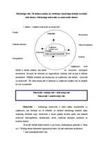 Konspekts 'Mārketings', 1.