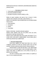 Konspekts 'Mārketings', 13.