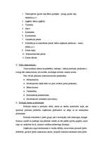 Konspekts 'Mārketings', 17.