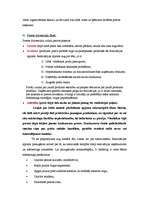 Konspekts 'Mārketings', 18.