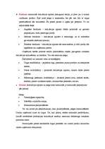 Konspekts 'Mārketings', 19.