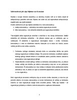 Referāts 'Informatīvais jeb ziņu biļetens', 4.