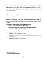 Referāts 'Informatīvais jeb ziņu biļetens', 5.