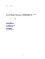 Referāts 'Informatīvais jeb ziņu biļetens', 10.