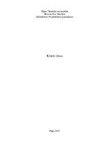 Referāts 'Ķieģeļu sienas', 1.