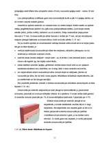 Referāts 'Ķieģeļu sienas', 11.