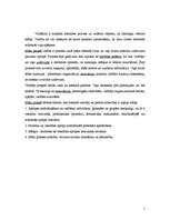 Referāts 'Makgregora motivēšanas teorijas apskats saistībā ar māsu praksi', 1.