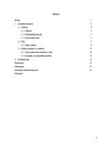 Referāts 'Solārija ietekme uz veselību', 2.