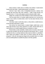 Referāts 'Solārija ietekme uz veselību', 3.