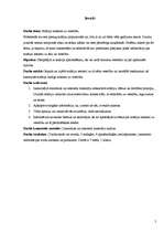 Referāts 'Solārija ietekme uz veselību', 5.