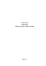 Eseja 'Paulu Koelju romāna "Pjedro upes krastā es sēdēju un raudāju" analīze', 1.