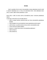 Referāts 'Tūrisma maršrutu komercdarbība Latvijā globalizācijas ietekmē', 3.