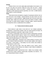 Referāts 'Tūrisma maršrutu komercdarbība Latvijā globalizācijas ietekmē', 8.