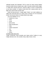 Referāts 'Tūrisma maršrutu komercdarbība Latvijā globalizācijas ietekmē', 14.