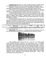 Referāts 'Divu dienu maršruts pa Cēsīm', 14.