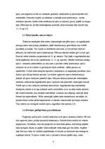 Referāts 'Apavu attīstība', 6.