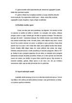 Referāts 'Apavu attīstība', 12.