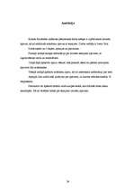 Referāts 'Apavu attīstība', 26.