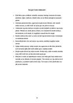 Referāts 'Apavu attīstība', 28.